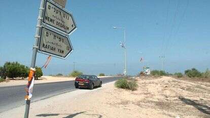 דודו גרינשפן, איי.אף.פי