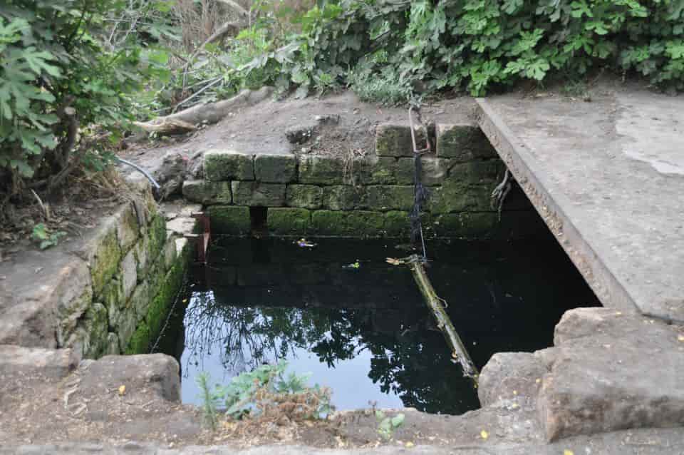 אביתר ליכטמן