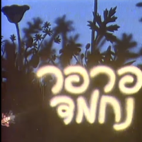 מסך מיוטיוב.