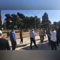 יהודים בהר הבית. | מעיין ברבי, "בידינו-הקרן למורשת הר הבית"