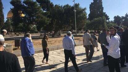 יהודים בהר הבית. | מעיין ברבי, "בידינו-הקרן למורשת הר הבית" יהודים בהר הבית. | מעיין ברבי, "בידינו-הקרן למורשת הר הבית"