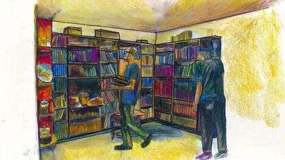 איור: שקד סגל