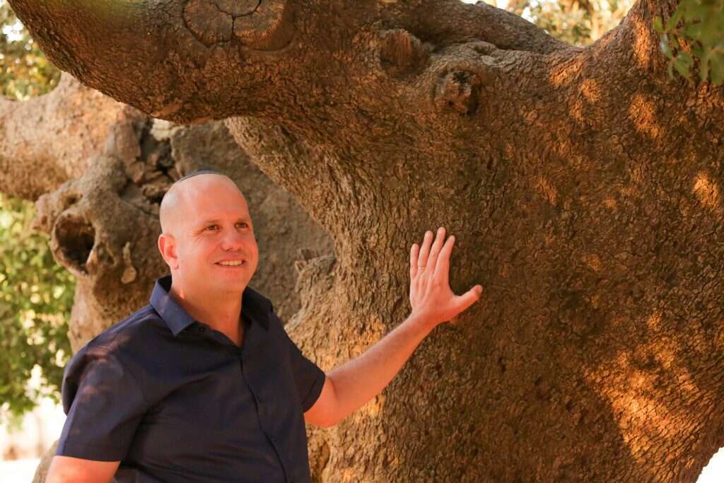 ירון רונזטל