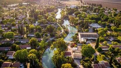 ברבורים ודשא. נחל האסי. | מנחם לדרמן, פלאש 90