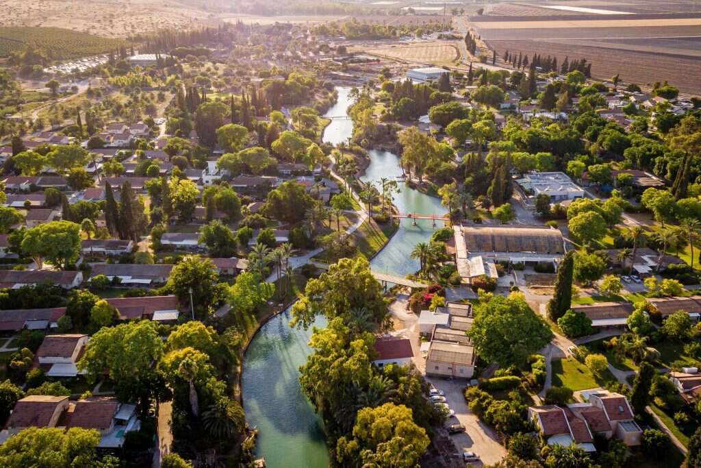 ברבורים ודשא. נחל האסי. | מנחם לדרמן, פלאש 90