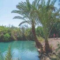 עין הנציב. | גיל אליהו- ג'יני