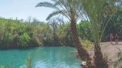 עין הנציב. | גיל אליהו- ג'יני