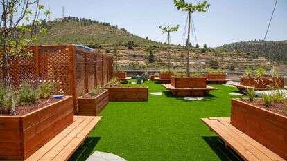 גג הספרייה בפקולטה לרפואה. | רינה נקונצ'ני