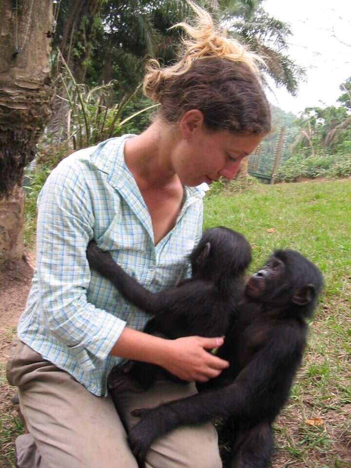 השפעה בזמן אמת. עם שני קופי בונובו במקלט בקונגו. | באדיבות גלית זנגביל־בר