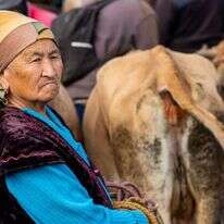 נדיר למצוא ספר מתוככי אותן חברות מוסלמיות ברפובליקות הסובייטיות לשעבר במרכז אסיה. אישה בקרקול, קירגיזסטן | שאטרסטוק