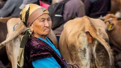 נדיר למצוא ספר מתוככי אותן חברות מוסלמיות ברפובליקות הסובייטיות לשעבר במרכז אסיה. אישה בקרקול, קירגיזסטן | שאטרסטוק