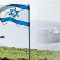 צילומים: קלוגר זולטר - לע"מ, שאטרסטוק