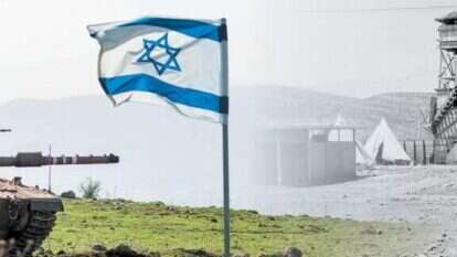 צילומים: קלוגר זולטר - לע"מ, שאטרסטוק