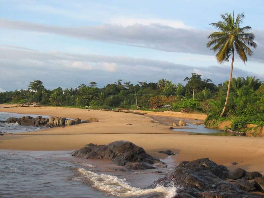חוף הים של קריבי (קמרון). | באדיבות המצולמת
