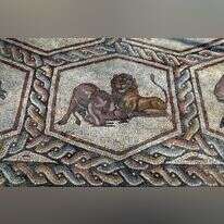 רצפת פסיפס לוד, המוכיחה כי בעלי חיים כמו אריה ועוד נמצאו בישראל בעבר. | שאטרסטוק רצפת פסיפס לוד, המוכיחה כי בעלי חיים כמו אריה ועוד נמצאו בישראל בעבר. | שאטרסטוק