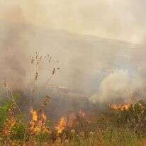 שריפה בהרי ירושלים. | רועי חיימוף שריפה בהרי ירושלים. | רועי חיימוף