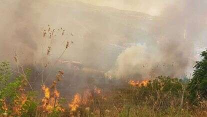 שריפה בהרי ירושלים. | רועי חיימוף