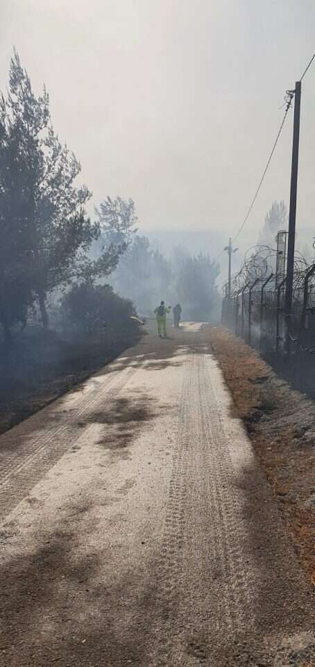 שריפת הענק בישוב אדורה בהר חברון. | חיליק גוטמן TPS שריפת הענק בישוב אדורה בהר חברון. | חיליק גוטמן TPS