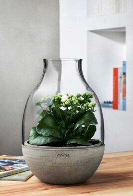 אגרטל חממה קטן. להשיג בשקל בית מותגים. | יחצ Eden