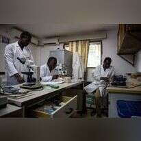 חוקרי מלריה בוואגאדוגו, בירת בורקינה־פאסו, 2009. | AFP