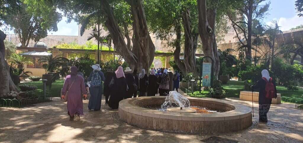 מבקרים ערבים בעכו במסגרת "שבוע הכלכלה הפלסטינית". | יאיר קראוס