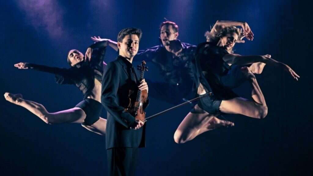 ‏‏ארבע העונות. | יוסי צבקר