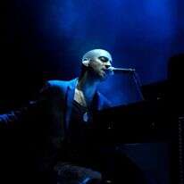 עידן רייכל. | אלעד ויסמן