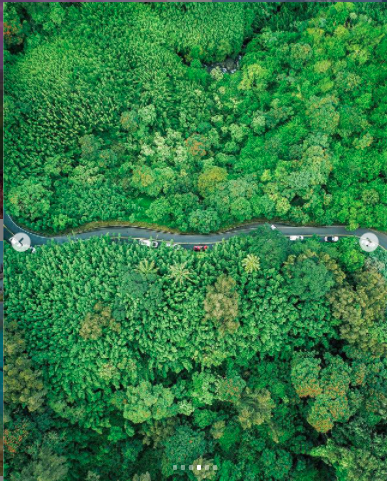 מסך מתוך עמוד האינסטגרם.