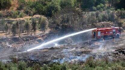 כוחות כיבוי נאבקים בשריפות בהרי ירושלים, בשבוע שעבר. | יוסי אלוני