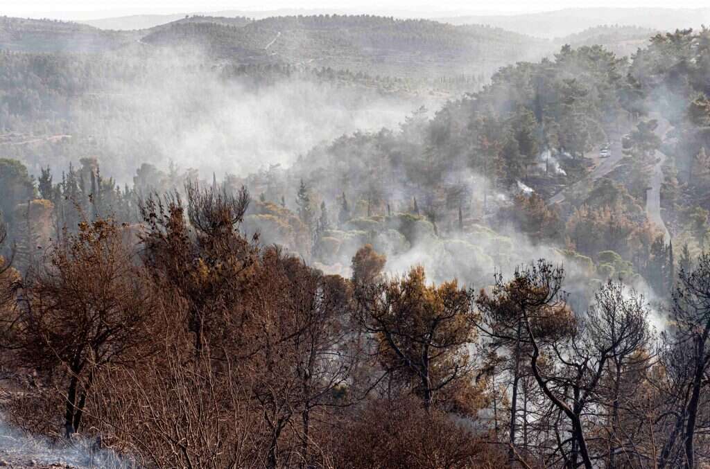 כוחות כיבוי נאבקים בשריפות בהרי ירושלים, בחודשיים האחרונים. | : ערן פלד