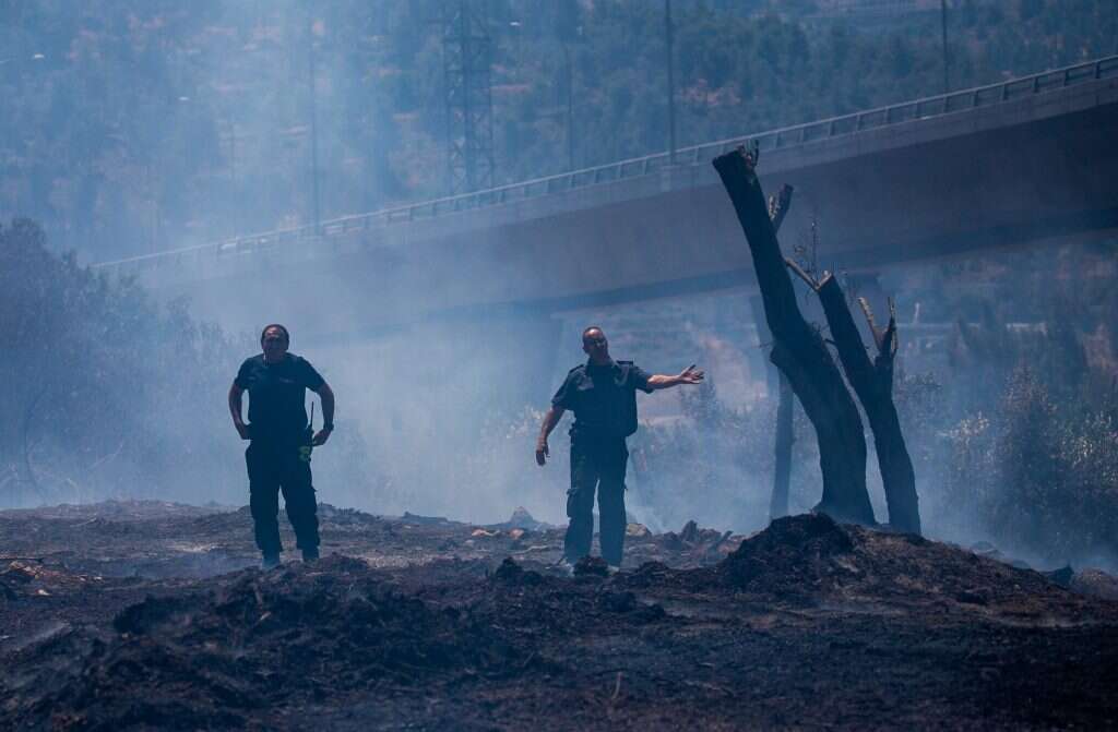 כוחות כיבוי נאבקים בשריפות בהרי ירושלים, בשבוע שעבר. | יוסי אלוני