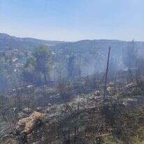 כיבוי השריפה בהר נוף. | כבאות והצלה ירשלים