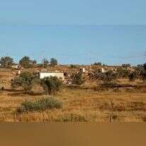 עוז ציון הבוקר. | עוז ציון