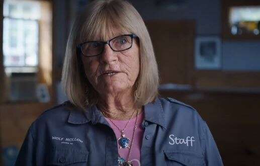 מישה והזאבים. | מסך