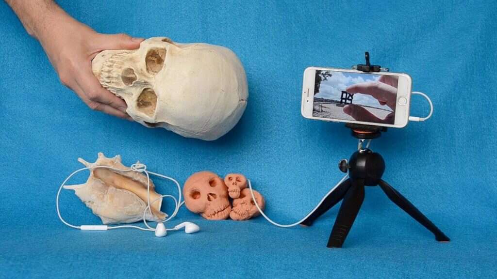 חביב קפצון, The Great Lockdown