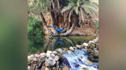 עין עוג'ה. | יחזקאל בלומשטיין