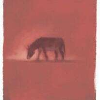 איור: מנחם הלברשטט