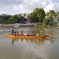 סירות דרקון. | רנת דושנסקי ורבנר, באדיבות מרכז דניאל לחתירה