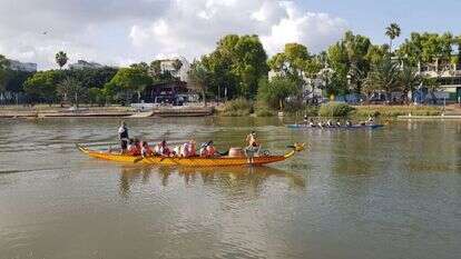 סירות דרקון. | רנת דושנסקי ורבנר, באדיבות מרכז דניאל לחתירה