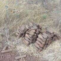 פגזים מהסליק ליד עין־זיוון. | דובר צה"ל