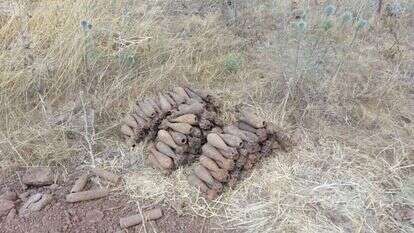 פגזים מהסליק ליד עין־זיוון. | דובר צה"ל פגזים מהסליק ליד עין־זיוון. | דובר צה"ל