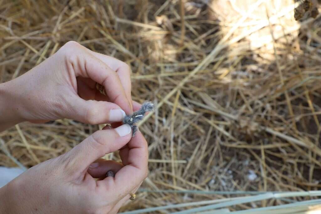 עולם שלם בתוך צנפה. | יעל (פרוינד) אברהם