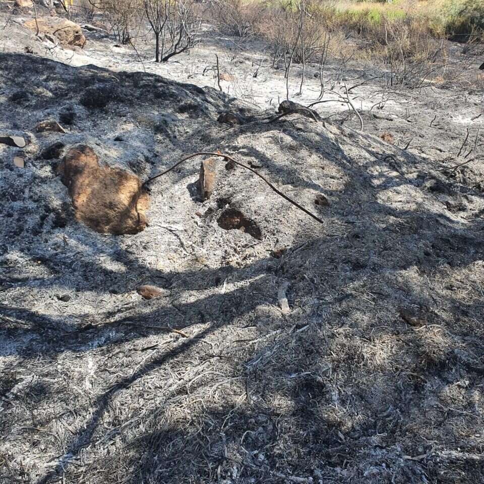 דוברות כבאות והצלה