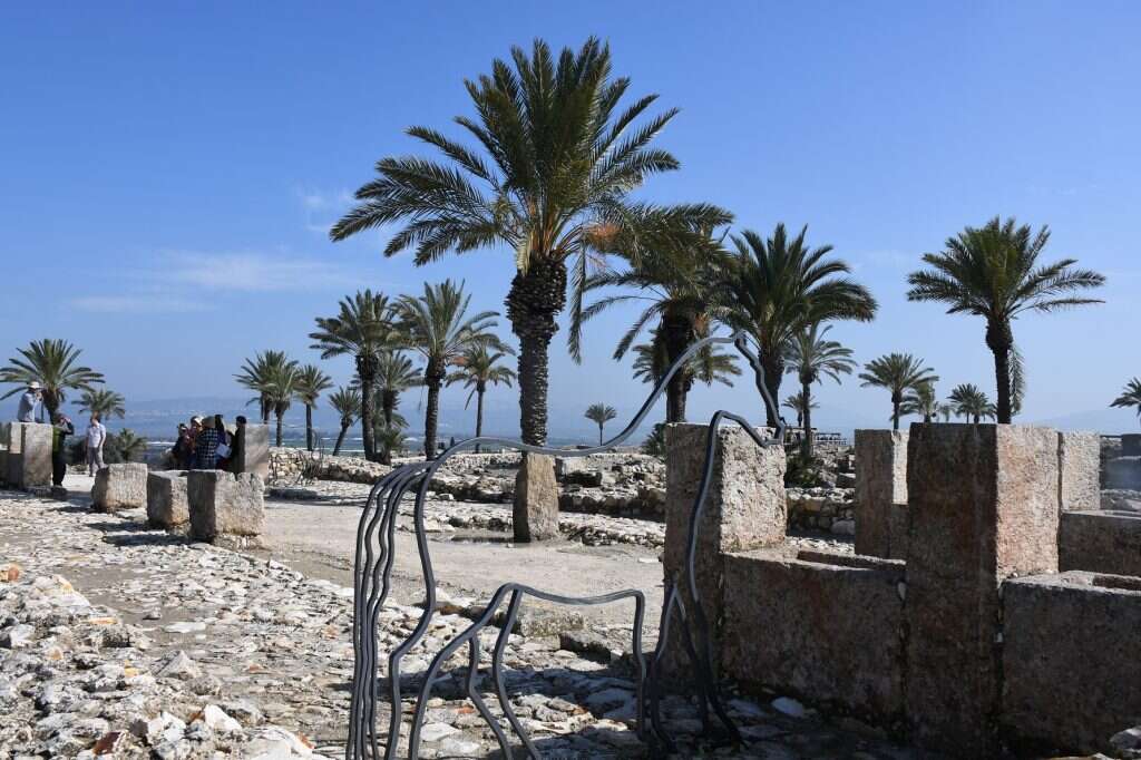 גן לאומי תל מגידו. | שרית פלצ'י מיארה