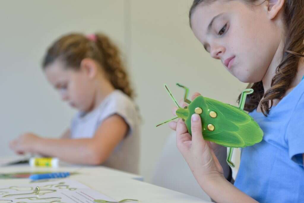 סדנת חקרטבע. | שי בן אפרים