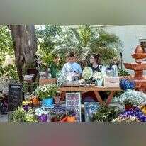 עמק האלה. | יחצ