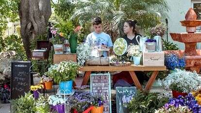 עמק האלה. | יחצ