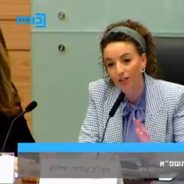 יו"ר הוועדה המסדרת עידית סילמן. | מסך ערוץ הכנסת