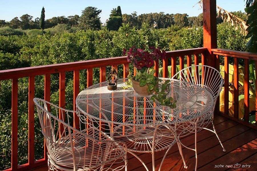 סשה אלכוב, ביקתפוז וקלמנטינה