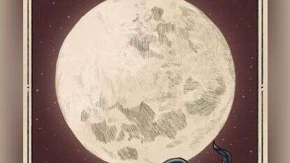 איור: שרון ארדיטי